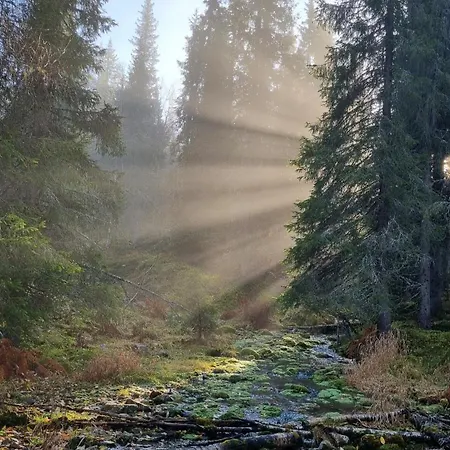 アパート Laskijantie10c2 Ylläs