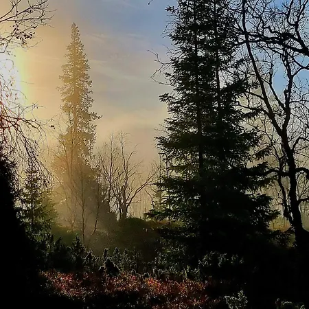 アパート Laskijantie10c2 *